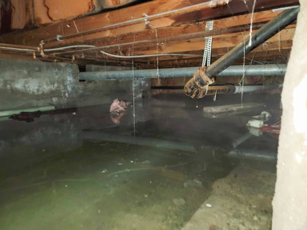 Best Fire Damage Restoration  in Oakland, NE