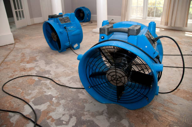 Best Local water damage restoration  in Oakland, NE
