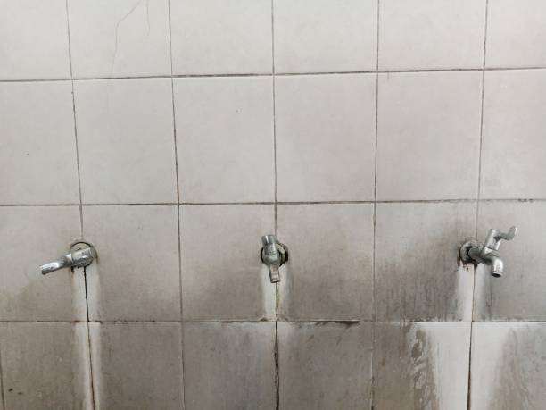 Best 24-hour water damage restoration  in Oakland, NE